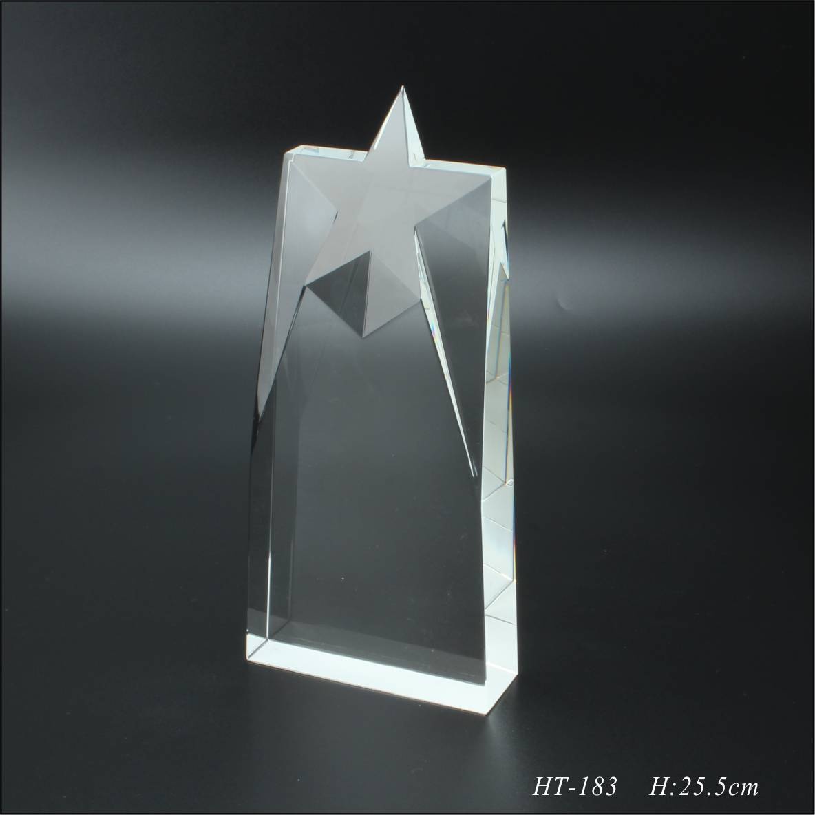 Crystal star trophy Crystal star trophy