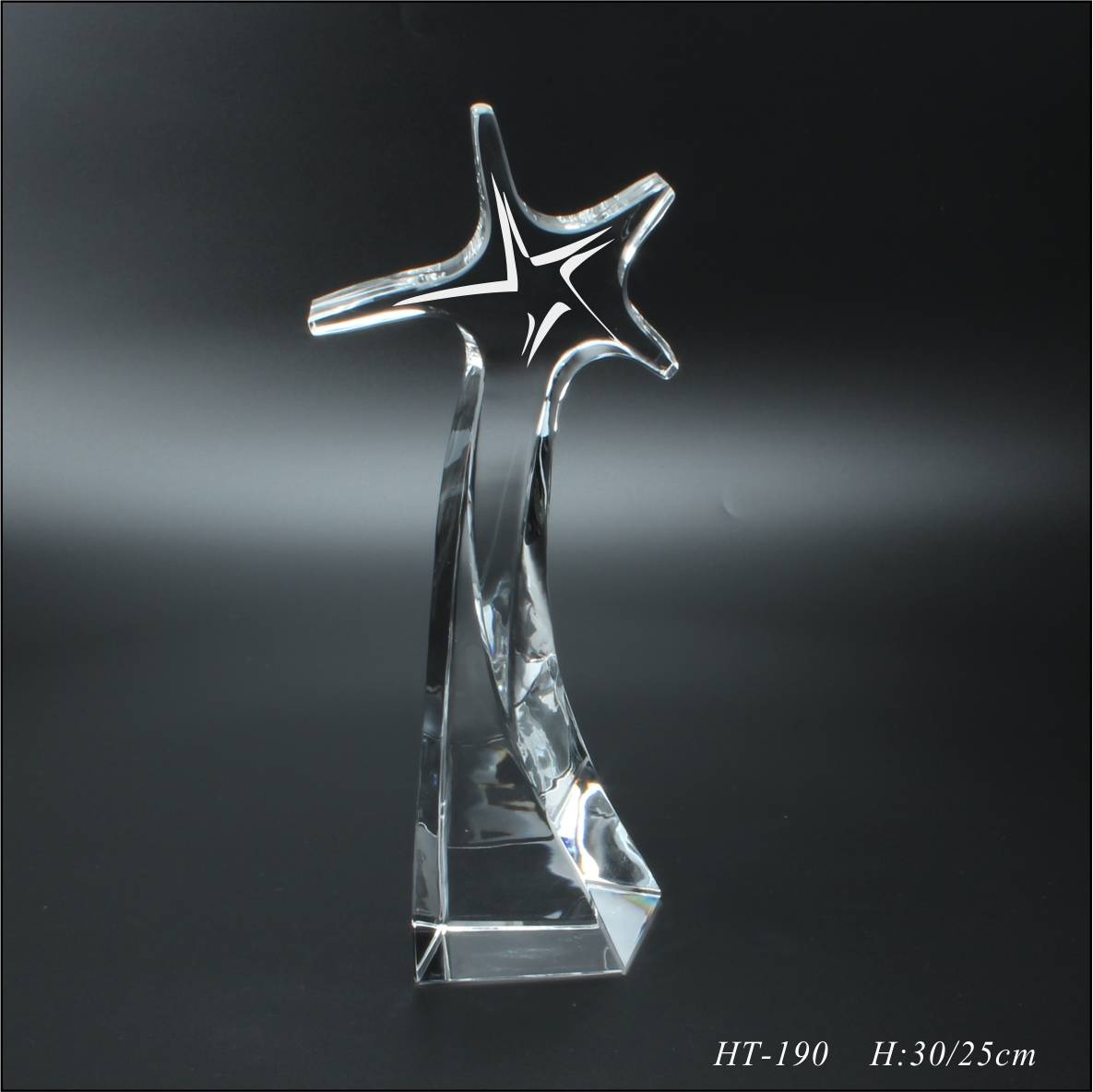 Crystal star trophy Crystal star trophy