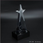 Crystal star trophy